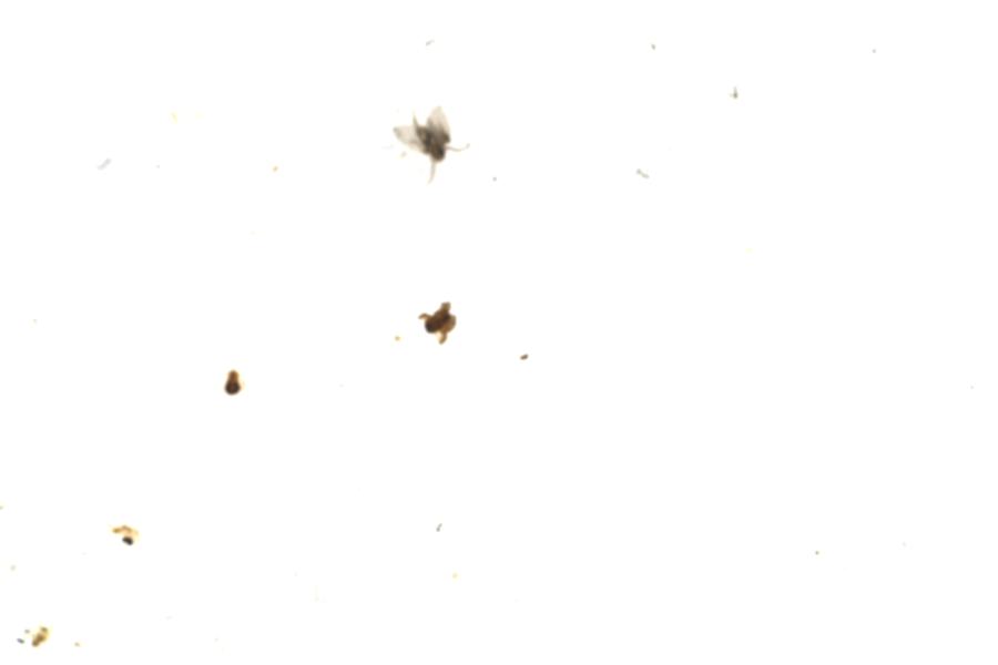 Image 48